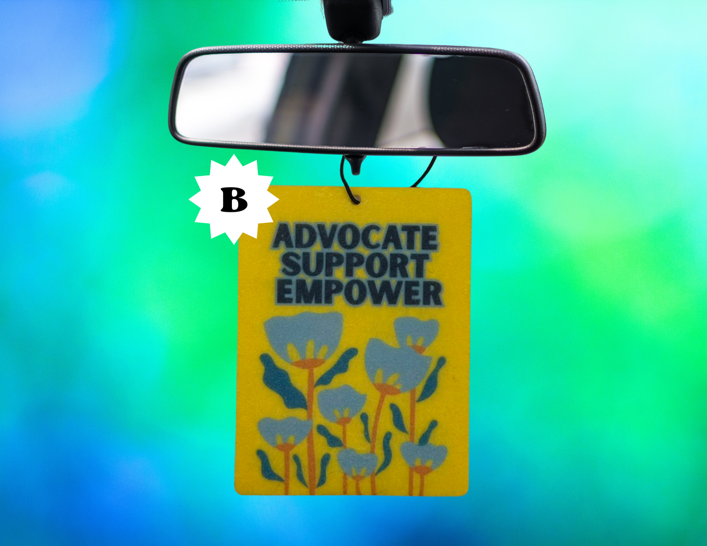 Down Syndrome Collection